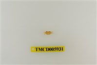 藏品(拉氏清溪蟹)的圖片